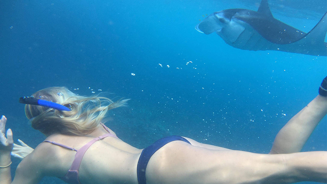 Manta Ray Snorkeling Nusa Penida – Swim with Ocean Giants
