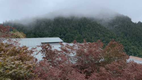 From Taipei: Taipingshan & Jiuzhize Hot Spring Private Tour Day Tours