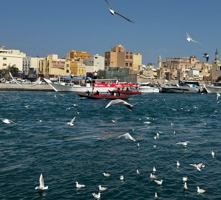 Historic Dubai Walking Tour:Food, Abra Ride & Souqs