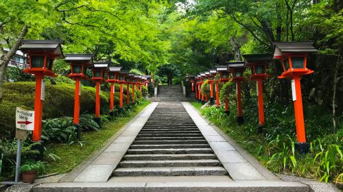 Small group of 9: Kyoto 1-day tour to Kifune shrine, Arashiyama and Sanzen-in