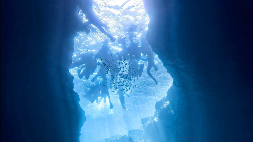Snorkeling and scuba diving experience at the blue cave in Okinawa, Japan