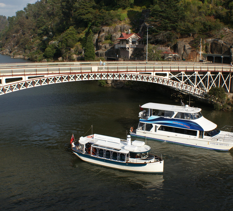 Launceston: 50-Minute Cataract Gorge Cruise