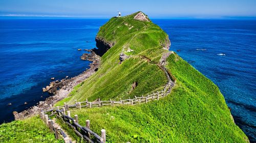 Hokkaido coastal charm | Shakotan Cape + Otaru + Shiroi Koibito day tour | Departing from Sapporo Day Tours