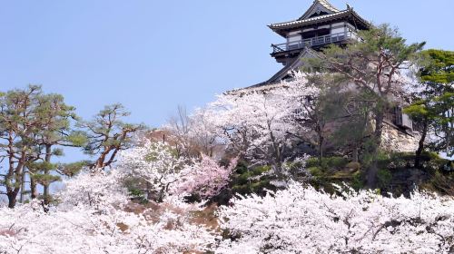 Fukui: Maruoka Castle Admission Ticket Day Tours