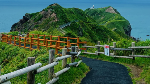 Popular 1-day tour in Hokkaido – Cape Kamui, Otaru
