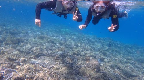 Okinawa Sesoko Beach diving & snorkeling 0.5-1 hr experience [dreamlike Sesoko Island snorkeling / additional water activities available / non-swimmers welcome]