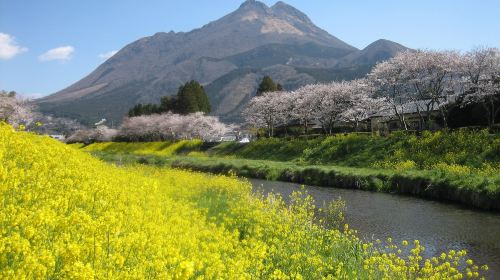 Oita 1-day tour to Dazaifu-tenmangu Shrine + Yufuin Area + Kamado Jigoku Day Tours