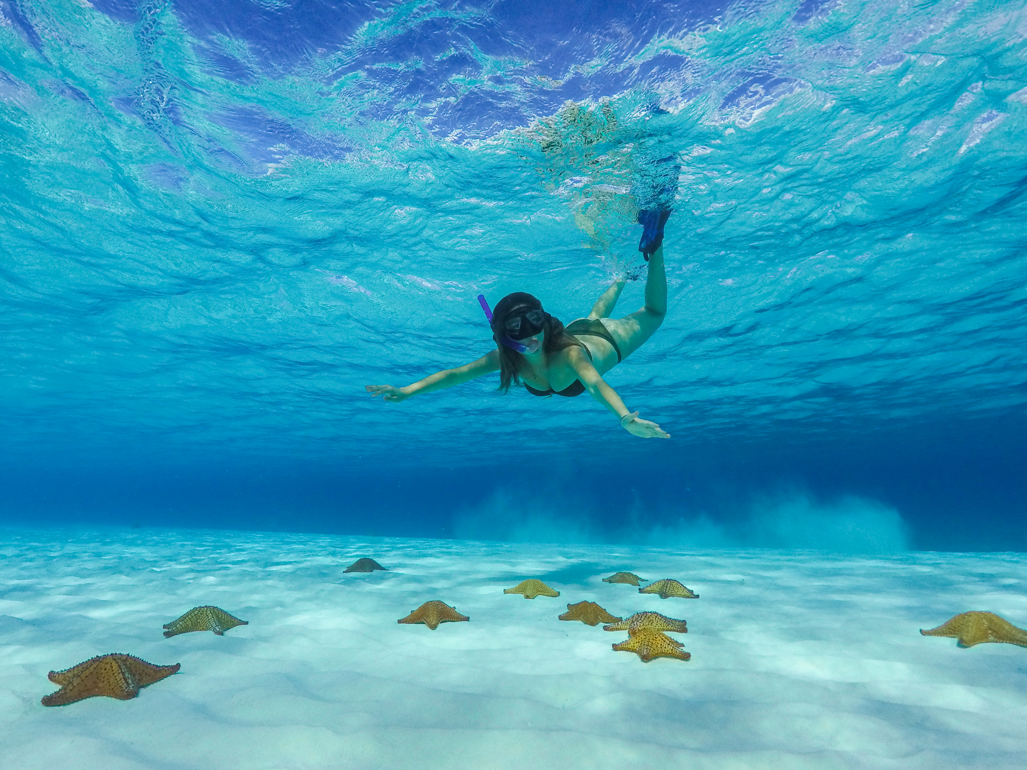 Clear Boat & Snorkel Tour in Cozumel