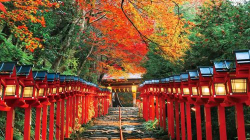 Small group of 9: Kyoto 1-day tour to Kifune shrine, Arashiyama and Sanzen-in