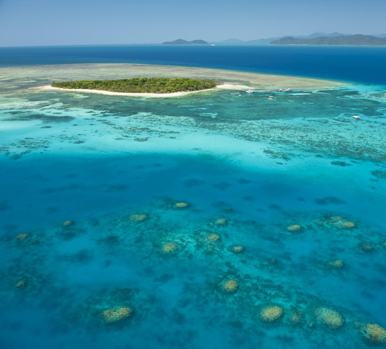 From Cairns: Full-Day Green Island Cruise