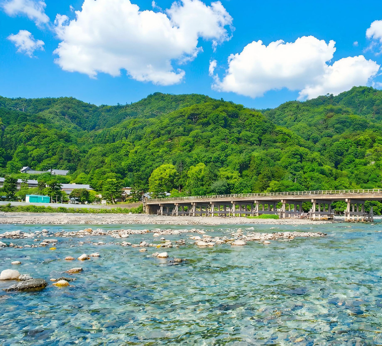Kyoto/Osaka: Nara, Arashiyama, Fushimi Inari Taisha Day Tour
