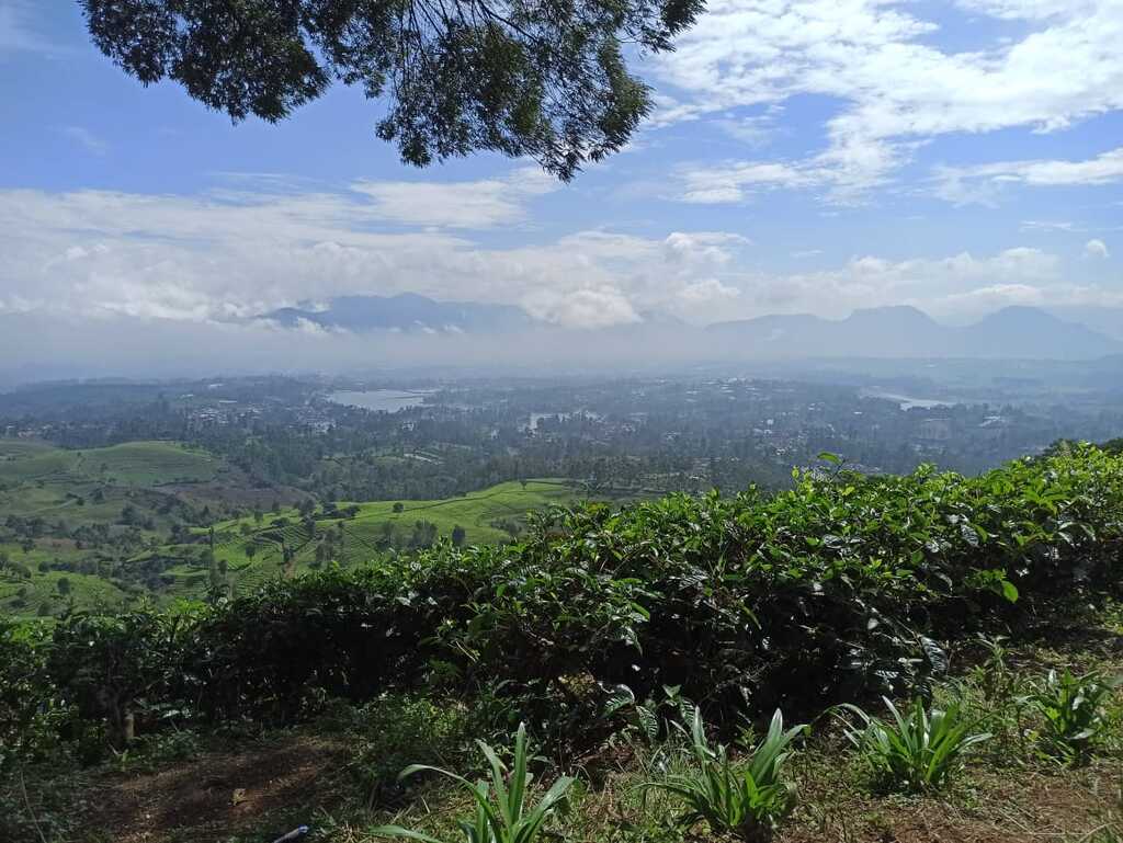 Fun Offroad Pangalengan Bandung – Land Rover Pine Forest Adventure