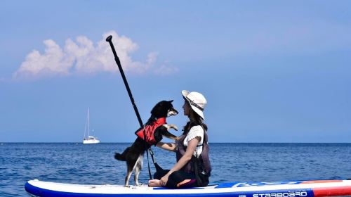 Xiaoliuqiu Island Tour – Canoe · SUP Stand Up Paddling – Free