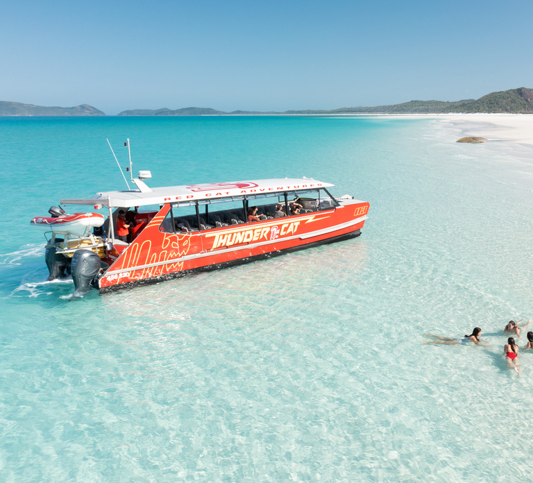 Airlie Beach: Whitehaven Full-Day Eco-Cruise with Buffet