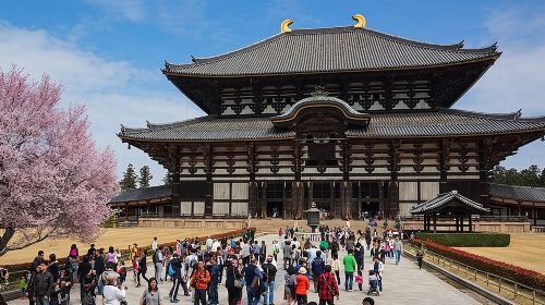 Nara 6hr Private Tour with Government-Licensed Guide Day Tours