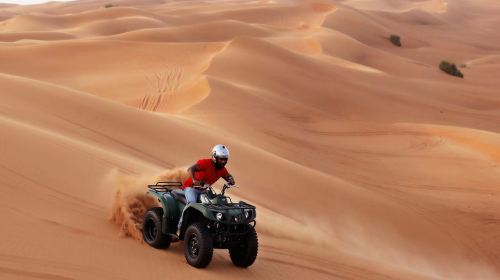 Quad Bike Tour with Dinner Day Tours