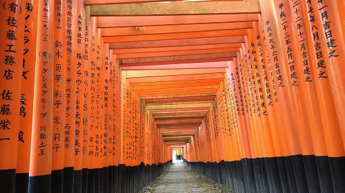 Fushimi Inari Shrine: Explore the 1,000 Torii Gates on an audio walking tour Day Tours