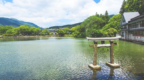 1-day tour to Kyushu Wildlife Park African Safari – Beppu Umi Jigoku
