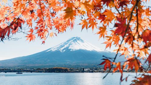 1-day tour with free cable car · Tokyo Fuji mountain Kawaguchiko panoramic cable car · viral Lawson · Oshino hakkai