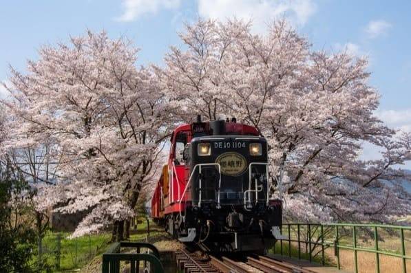 3D model of Kyoto + Sagano excursion small train Saga