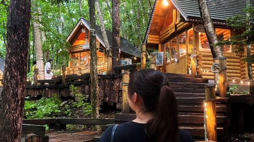 Farm Tomita, Ningle Terrace& Melon Buffet Bus Tour [From Sapporo] Day Tours