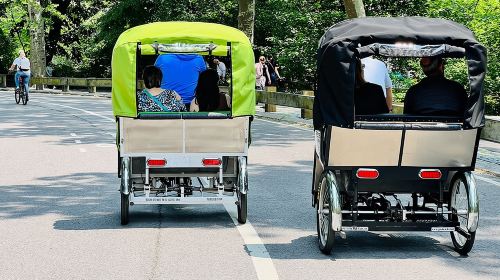Central Park Pedicab Tour ( starting - Natural History Museum ) Day Tours