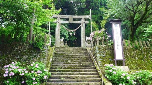 Japan Customized Day Tour (Mount Aso - Kamishikimi Kumano - Takachiho Gorge)