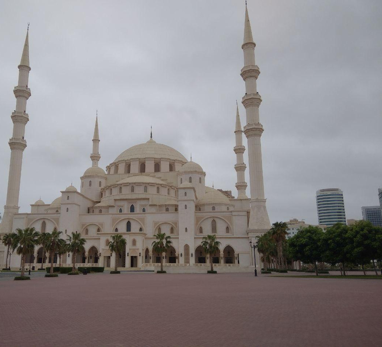 From Dubai: East Coast Fujairah City Tours