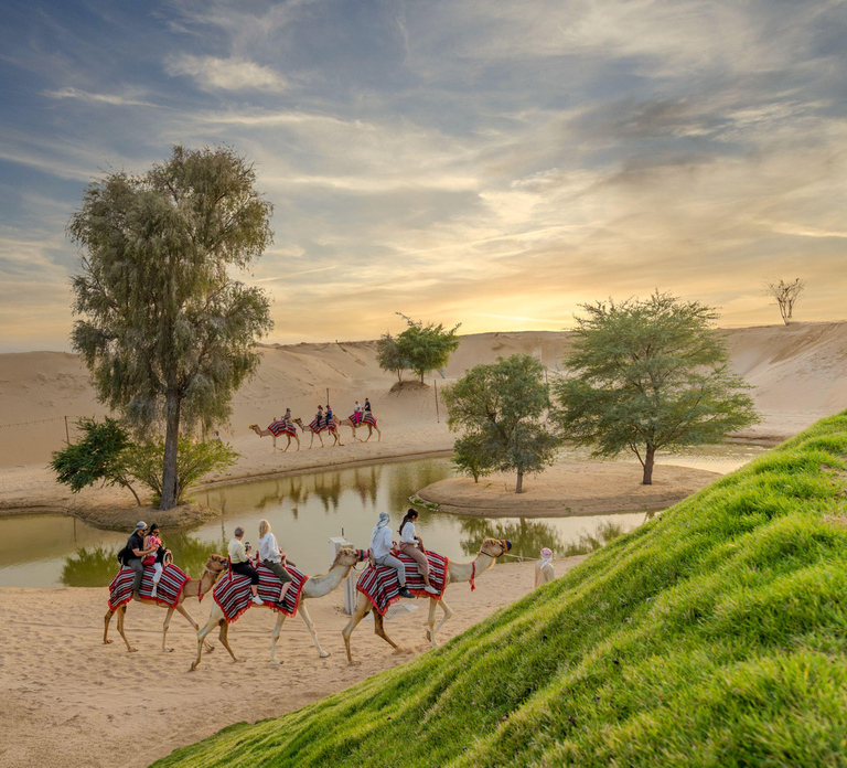 Dubai: Overnight Safari with Luxury Dome Stay & Stargazing