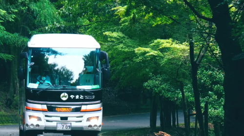 Nara Tōdai-ji, Mount Wakakusa, Kohfukuji Temple and Kasugataisha Shrine sightseeing bus