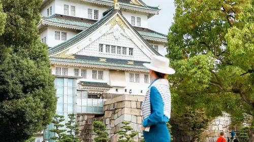 Osaka, Japan: Point-to-point transfer/custom private charter at Kansai airport or train station Day Tours