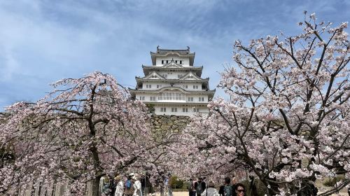 Himeji: visit the castle and Engyoji temple from Osaka Day Tours