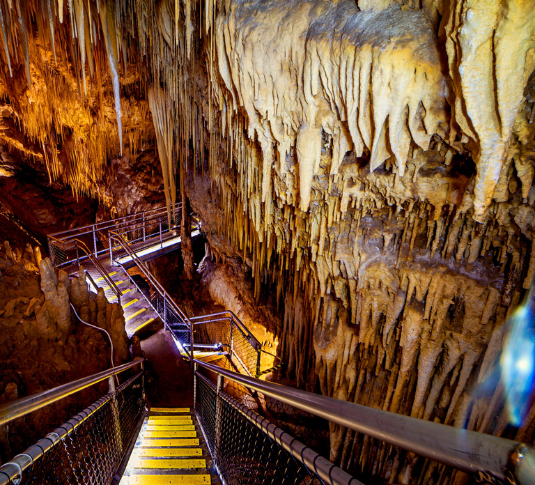 Hobart: Hastings Cave, Tahune Airwalk and Huon Tasting Trail