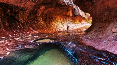 Bryce Canyon National Park & Zion National Park 1-day tour with lunch from Las Vegas