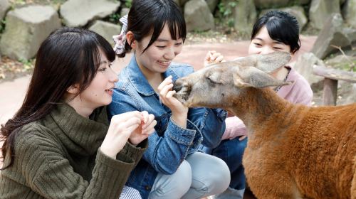 Yufuin no Mori train experience + Yufuin + Lake Kinrin + Beppu 1-day tour