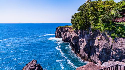 Izu Omuroyama Day Tour from Tokyo: Mt. Omuro, Shaboten Zoo & Jogasaki Coast
