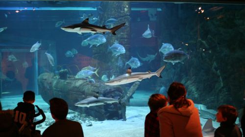 Seaquarium Institut Marin