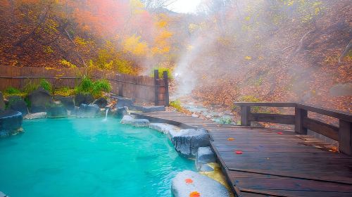 Kyushu: Aso Vocano, Grassland,Onsen and Aso shrine 1-Day Tour Day Tours