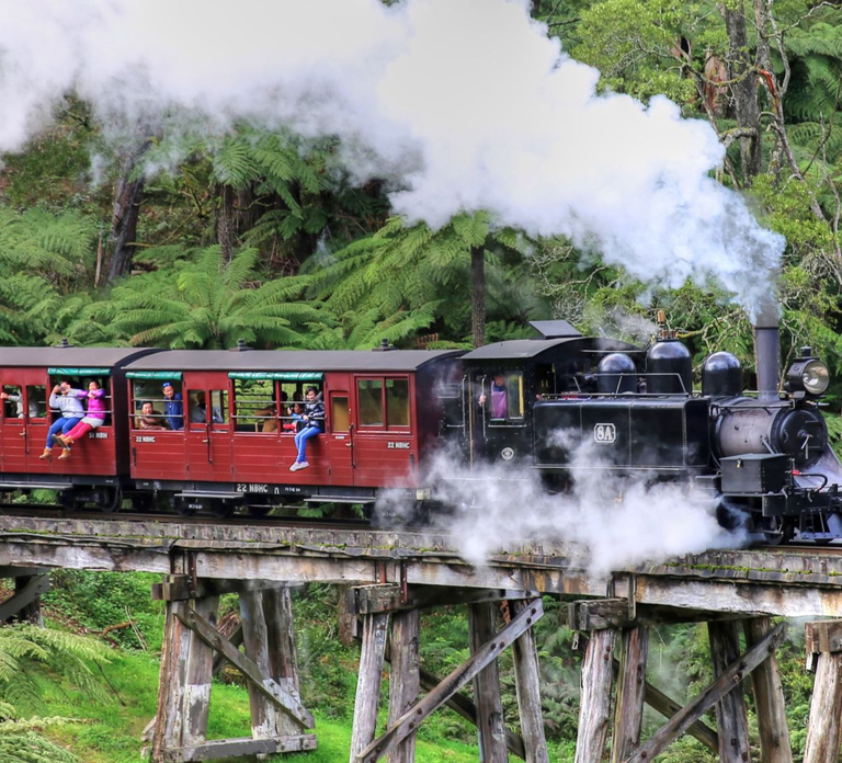 From Melbourne: Puffing Billy and Penguin Parade Combo Tour