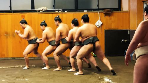 Watch Sumo Morning Practice at Stable in Tokyo Day Tours