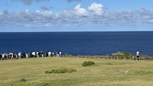 1-Day Tour in Northern Okinawa with Cape Manzamo, Aquarium and Kouri Island