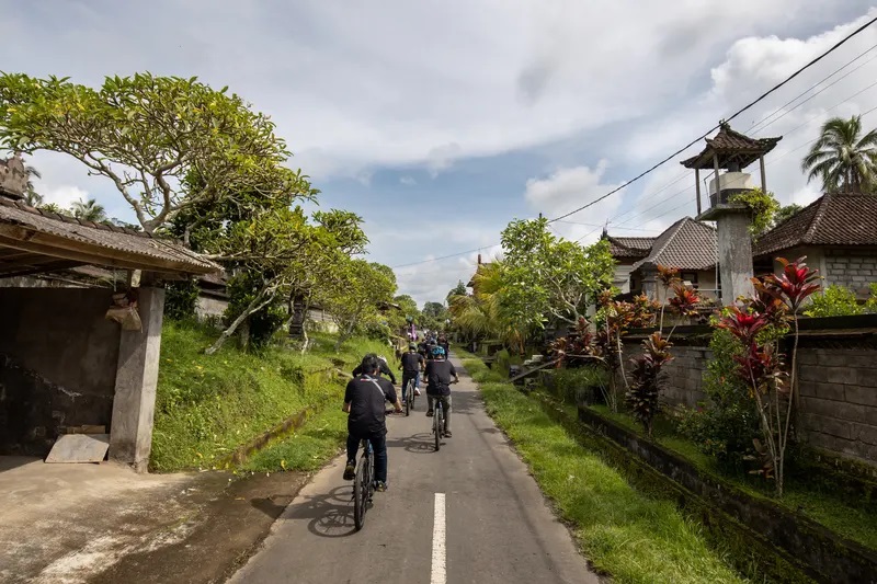 Kintamani to Ubud Bike Tour