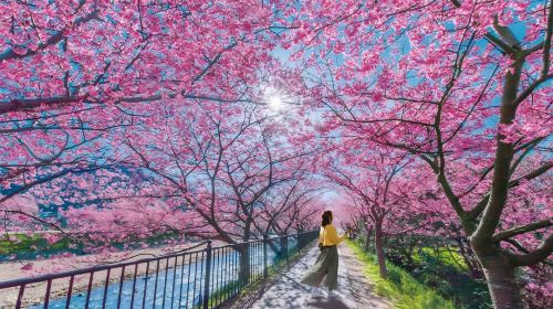 Izu Day Tour from Tokyo: Mount Omuro Ropeway & Shaboten Zoo with Ocean-View Train