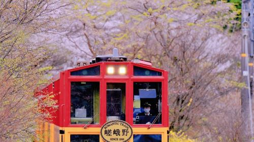Small group of 9: Kyoto 1-day tour to Kifune shrine, Arashiyama and Sanzen-in