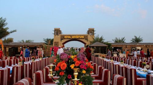Premium Red Dune Safari Camp+BBQ Dinner+Deluxe Camp+Sand Boarding