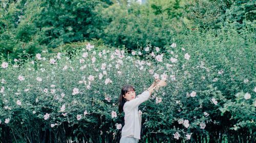 Travel photography in Yongin, South Korea