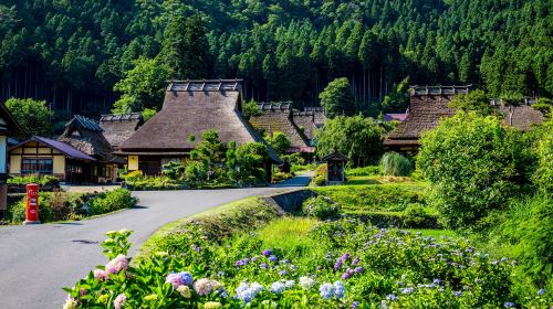 Kyoto in One Day: Amanohashidate, Ine Funaya & Miyama Thatched Village Day Tours