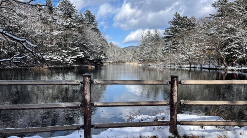 Private Charter Day Tour: Karuizawa Stone Church, Shiraito Waterfall & Kumoba Pond from Tokyo
