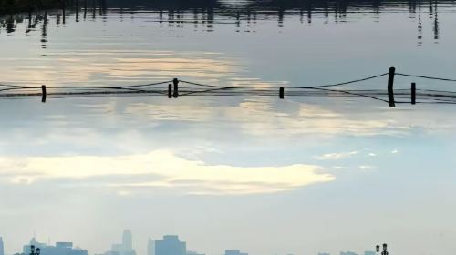 Hangzhou Private Charter Day Tour: West Lake, Songcheng & Lingyin Temple