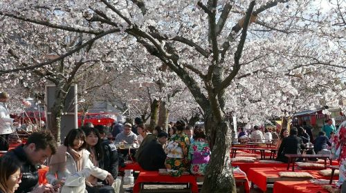 Kyoto: Guided Walking Tour + Kiyomizu-dera & Kōdaiji Temple Entry Day Tours